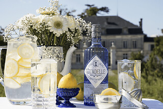 Visite guidée distillerie Citadelle Gin à Ars (16)