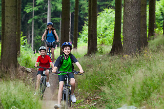 Location de VTT en forêt à Barbaste