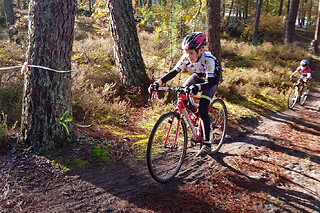 Location de VTT en forêt à Barbaste