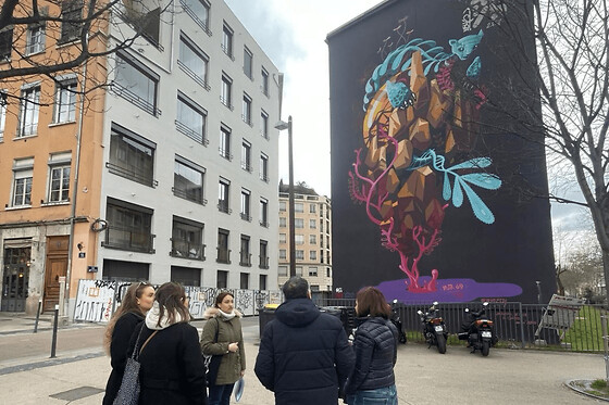 Visite guidée Street-Art à Lyon (69)