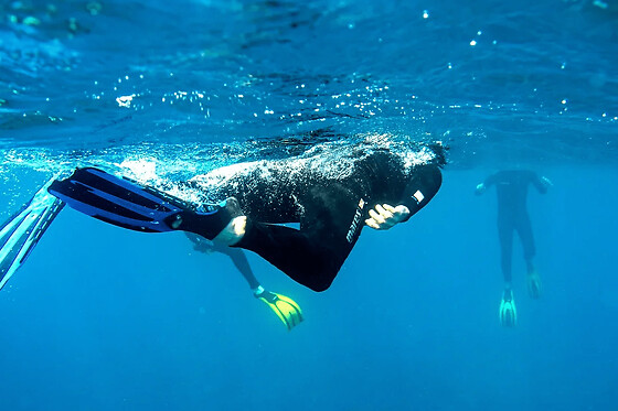 Snorkeling sur barrière de corail de la Réunion depuis Saint-Leu