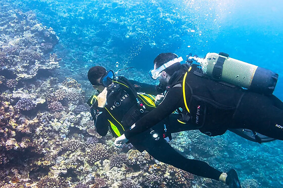 Plongée sur la barrière de corail de la Réunion depuis Saint-Leu - Plongée autonome