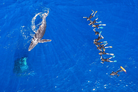 Snorkeling 