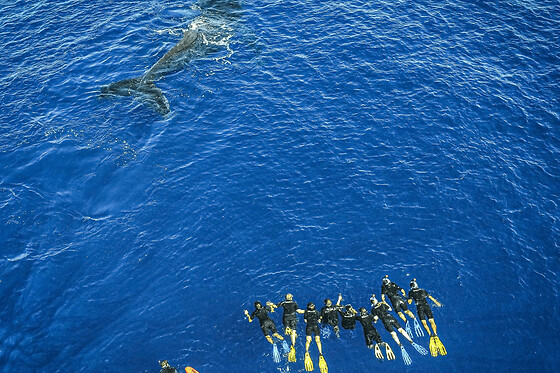 Snorkeling 