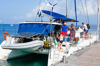Journée en catamaran plongée et dauphins aux Anses-d'Arlet (972) - Tarif adulte -Catamaran et Snorkeling