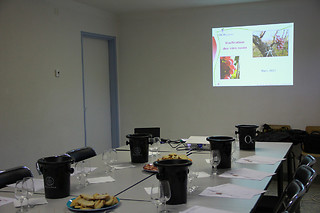 Atelier d’œnologie pour 2 à CDL Dégustation à Castelnau-le-Lez (34)