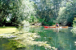 PARC D'AVENTURA I NATURA DELTAVENTUR