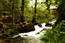 MELGAÇO WHITEWATER