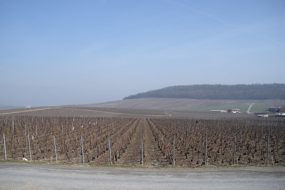 Champagne P. Lancelot Royer - photo 3