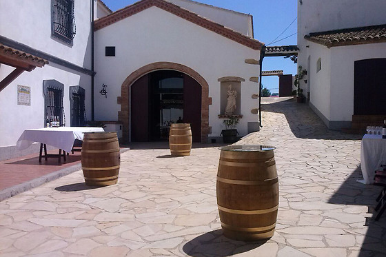 BODEGA MIQUEL JANÉ - photo 7