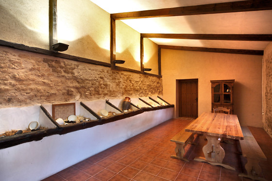 BODEGA FINCA VILLACRECES & BODEGA IZADI - photo 4