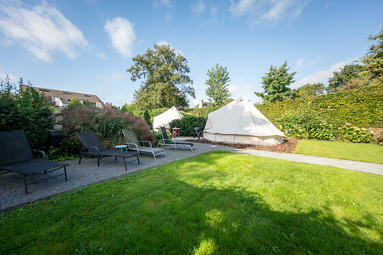 De Witte Merel & Hotel at home - photo 13