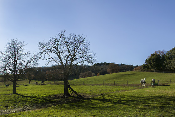 Domaine de la Trille - photo 8