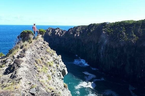 Azores Nature Tours - photo 33