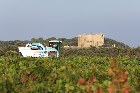 Domaine Gabriel Monier - photo 1
