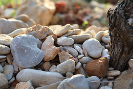 Domaine Gabriel Monier