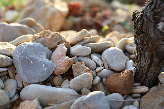 Domaine Gabriel Monier - photo 0