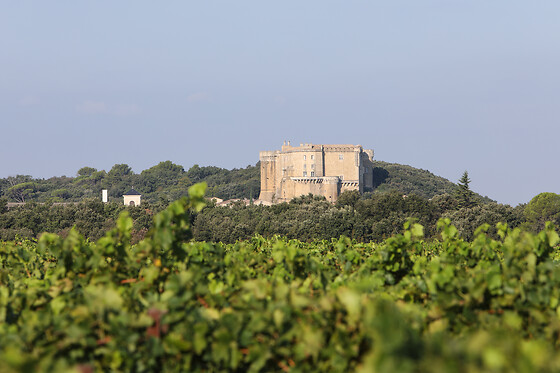 Domaine Gabriel Monier - photo 2