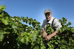 Domaine Gabriel Monier