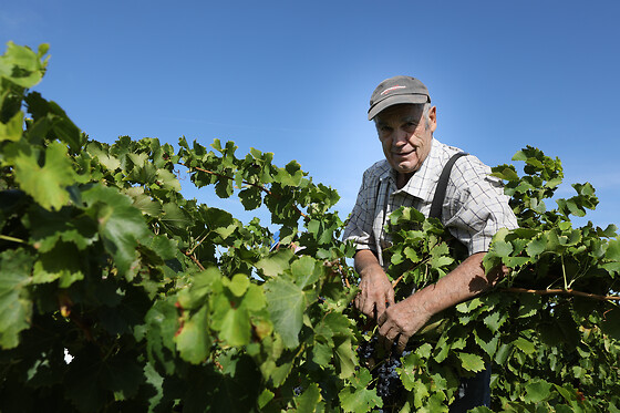 Domaine Gabriel Monier - photo 3