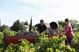 Domaine Gabriel Monier