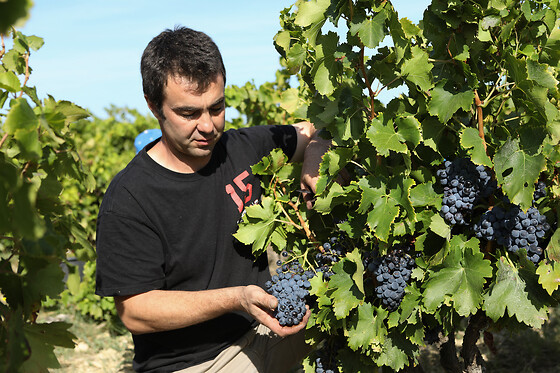 Domaine Gabriel Monier - photo 5