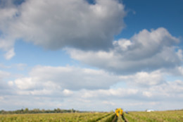 Le Clos de Caramélia