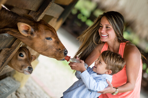 Ferme Le Bochet - photo 17