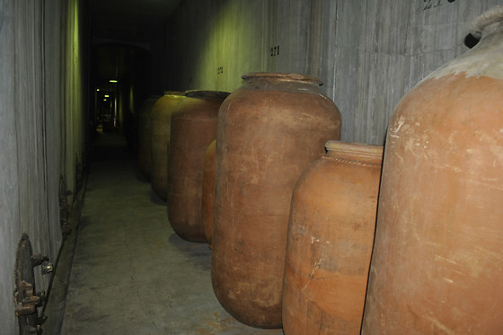 BODEGA CRISTO DEL HUMILLADERO - photo 4