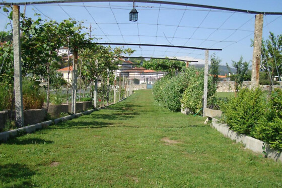 HOTEL SOLAR DAS LARANJEIRAS - photo 3
