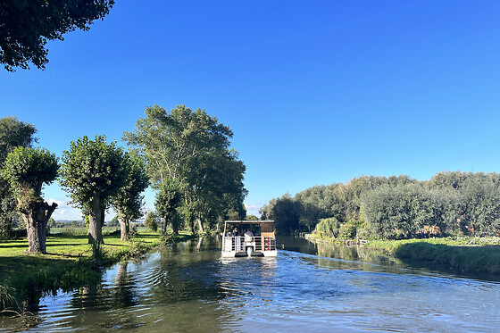 Ô Marais - photo 12