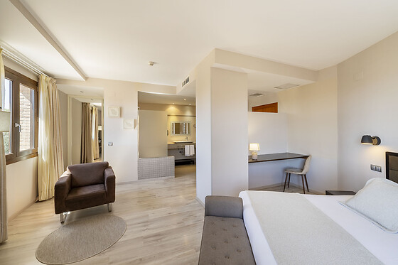 HOTEL SPA VILLA NAZULES - photo 10