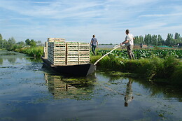 Ô Marais
