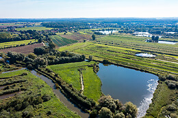 Ô Marais