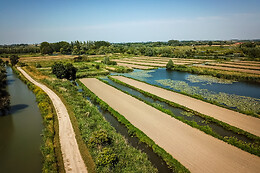 Ô Marais