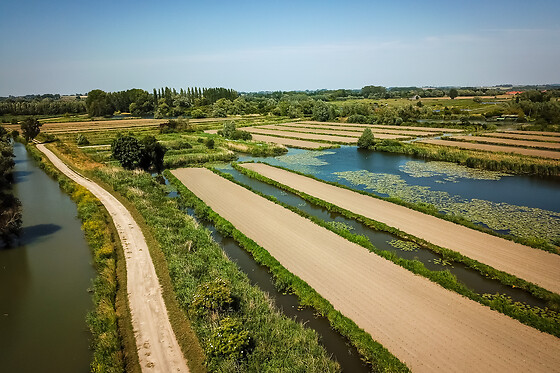 Ô Marais - photo 11