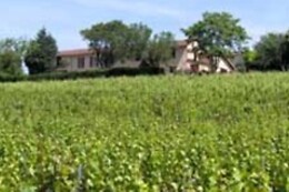 Domaine Vayssette