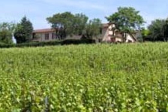 Domaine Vayssette - photo 2