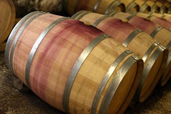 Domaine Vayssette - photo 5