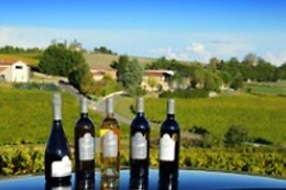 Domaine Vayssette