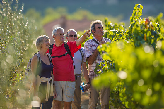Domaine Rocheville Nyons - photo 2