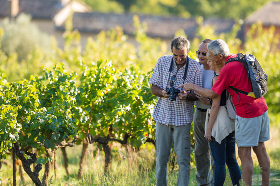 Domaine Rocheville Nyons - photo 0