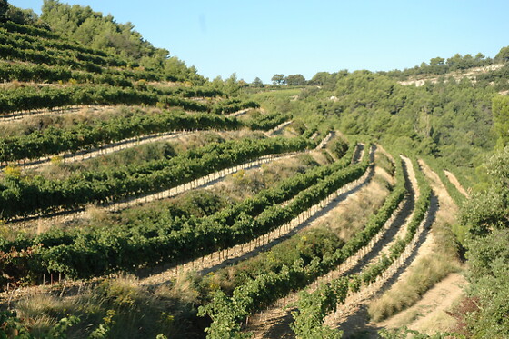 Domaine Rocheville Nyons - photo 1