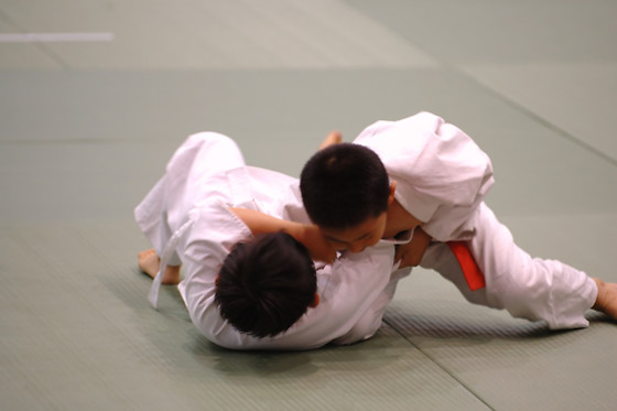 BOWGYM - photo 10