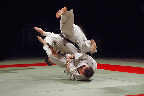 Ippon Karate Portugal - photo 0