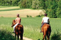 Un Poney, une histoire