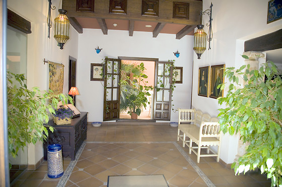 HOTEL PALACIO LAS MANILLAS - photo 17