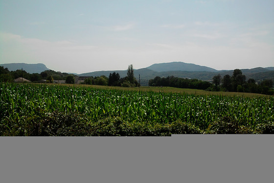 La Prairie - photo 4