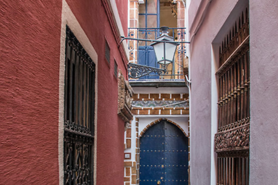 TOLARTE - photo 2