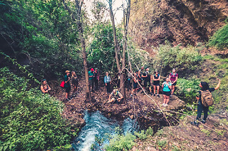 Excursion d'une journée dans la forêt tropicale à Grande Canarie